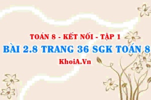 Bài 2.8 trang 36 SGK Toán 8 tập 1 Kết nối tri thức